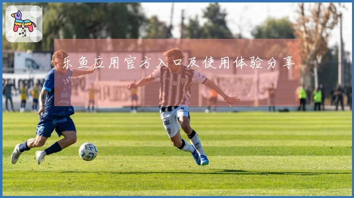 乐鱼应用官方入口及使用体验分享