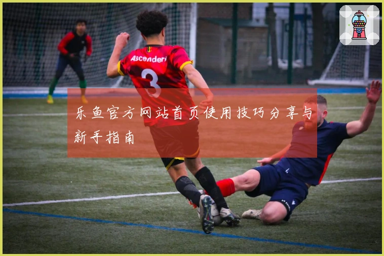 乐鱼官方网站首页使用技巧分享与新手指南