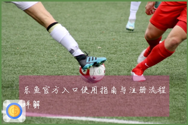 乐鱼官方入口使用指南与注册流程详解