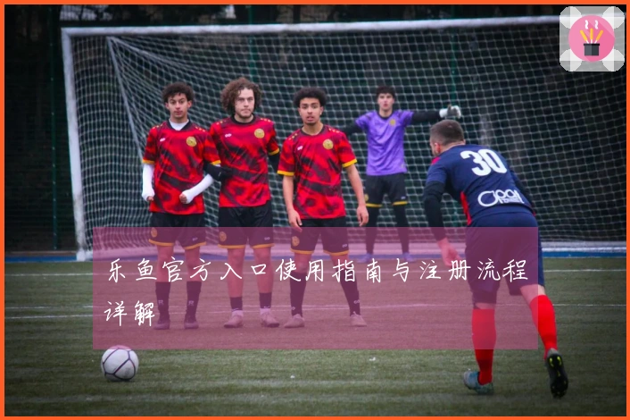乐鱼官方入口使用指南与注册流程详解