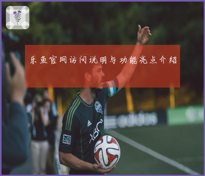 乐鱼官网访问说明与功能亮点介绍